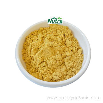 High Quality Sophora Japonica Extract Kaempferol Powder